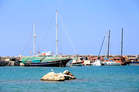Yachts moored in the harbour with a seagull standing on a rock in the foreground, Malia, Crete, Greece, Europe.のeditorial素材
