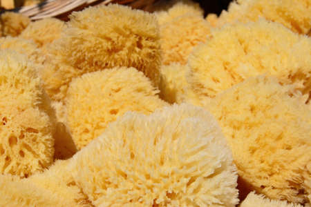 Natural sponges for sale along the waterfront, Chania, Crete, Greece, Europe.
