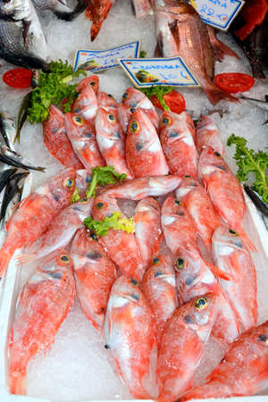 Fresh fish for sale on a market stall along an alleyway in the city centre, Heraklion, Crete, Greece, Europe.のeditorial素材