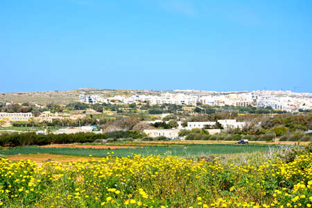 View of town buildings with agricultural fields in the foreground, Golden Bay, Malta, Europe.のeditorial素材