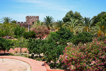 Courtyard gardens inside the Medieval castle with battlements and tower to the rear, Silves, Portugal, Europe.のeditorial素材