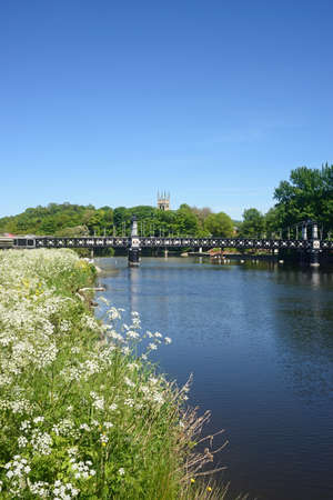 View of the Ferry Bridge also known as the Stapenhill Ferry Bridge and the River Trent with cow...