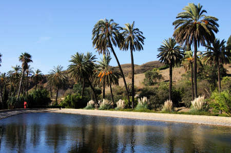 MALAGA, SPAIN - NOVEMBER 4, 2009 - View of the lake with trees to the rear at La Concepcion historical botanical gardens, Malaga, Malaga Province, Andalucia, Spain, Europe, November 4, 2009.のeditorial素材