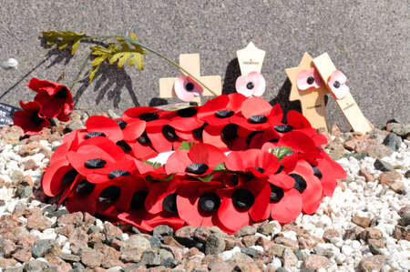 ALREWAS, UK - MAY 21, 2014 - Poppy wreath and small wooden crosses, National Memorial Arboretum,...