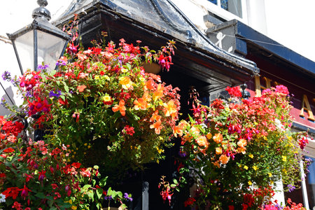 SIDMOUTH, UK - AUGUST 08, 2022 - Pretty hanging baskets on the front of the Anchor Inn along Old Fore Street in the town centre, Sidmouth, Devon, UK, Europe, August 08, 2022.のeditorial素材