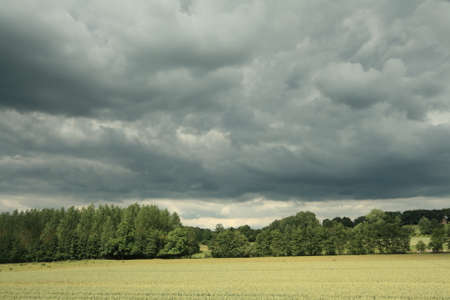 Wheatfield in Aisne, Picardy Region of Franceの写真素材
