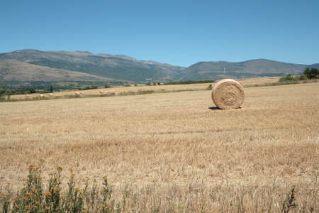 Haystack in french Cerdanya, Pyrenees