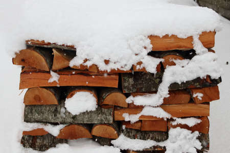 Pile of logs in winterの写真素材