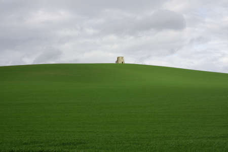 Cultivated field in Aude, Languedoc region of Franceの写真素材