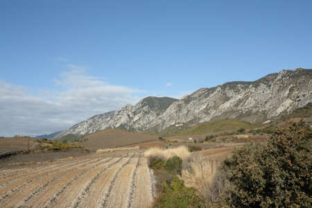 Vineyard in Pyrenees Orientales, South of Franceの写真素材