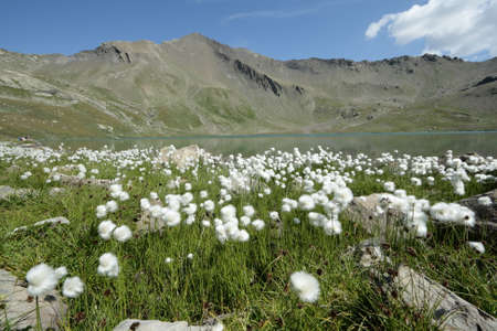 Landscape in Alps, Lake of Estaris in Champsaur in Franceの写真素材