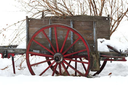 Old cart in winterの写真素材