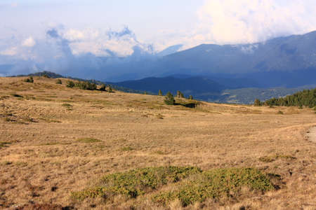 Pyrenean mountain in Capcir, Roussilon in south of France