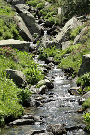 Stream in Pyrenees, Aude, Occitanie in south of France
