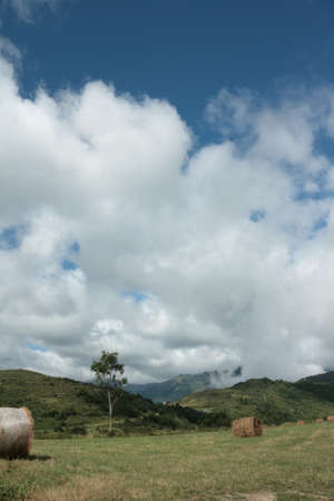 Haystack in pyrenean countryside, Aude, Occitanie in south of Franceの写真素材