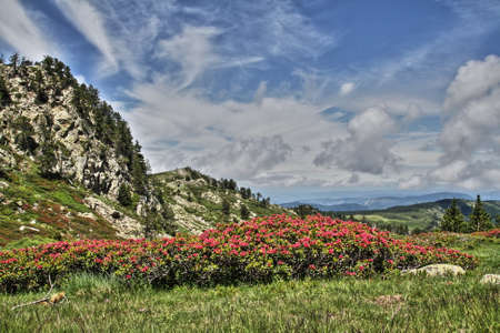 Pyrenean landscape in spring, Aude, Occitanie in south of France