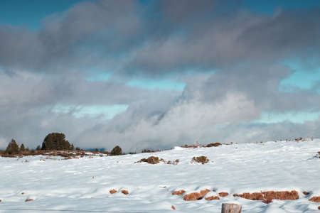 Grey cloud and snowy meadow in Pyreness. Occitanie in south of Franceの写真素材
