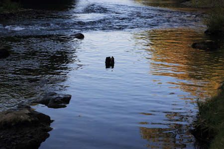 Aude river in Occitanie, South of France