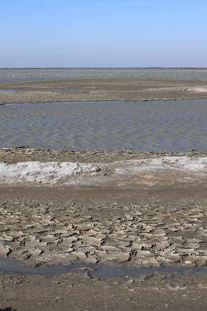 Dried mud in a pond of Camargue, Provence in the south of France