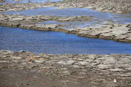 Dried mud in a pond of Camargue, Provence in the south of Franceの写真素材