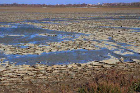 Dried mud in a pond of Camargue, Provence in the south of Franceの写真素材