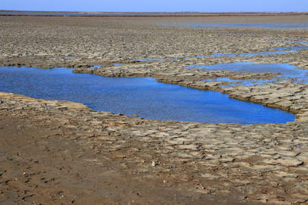 Dried mud in a pond of Camargue, Provence in the south of Franceの写真素材