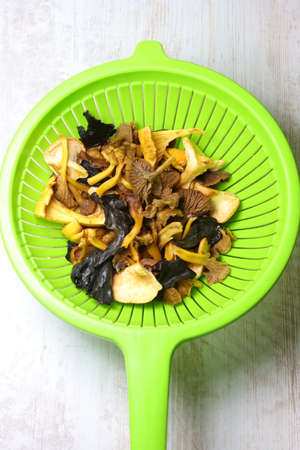 Forest mushroom strainer, chanterelle and horn of plentyの写真素材