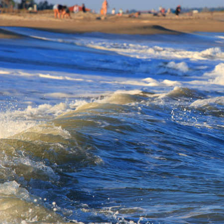 Mediterranean beach and swell in Pyrenees orientales, Roussillon region of Franceの写真素材