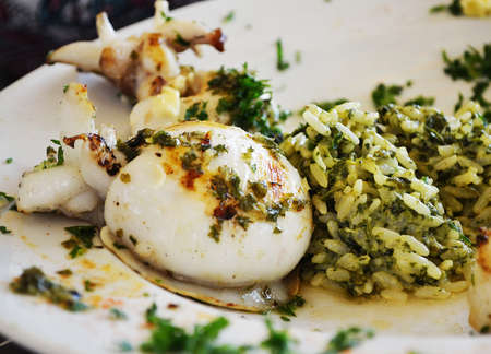 Octopus with riceの写真素材