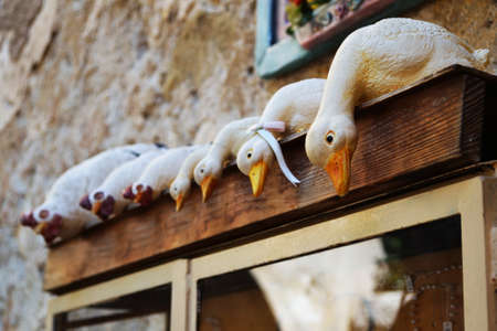  Row of ceramic ducks