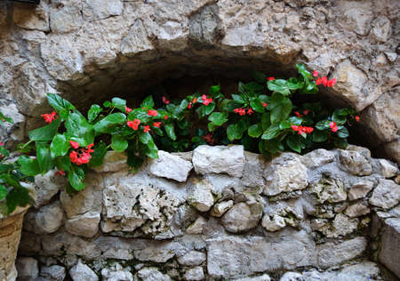 Flowers in stone archの写真素材