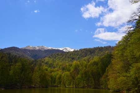 Mountains and forest in the springの写真素材