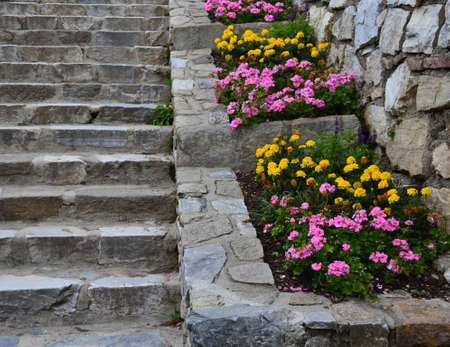 Old stairs in the parkの写真素材