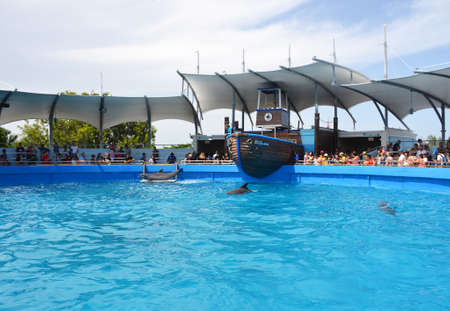 Dolphin show in Miami Seaquariumのeditorial素材