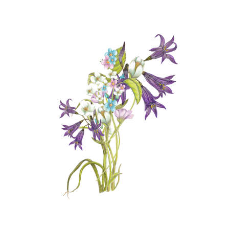 Bouquet of wildflowersの写真素材