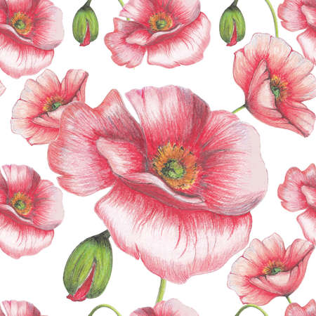 Poppies patternの写真素材