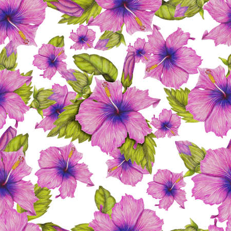 Hibiscus patternの写真素材