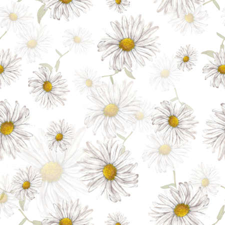 Chamomile patternの写真素材