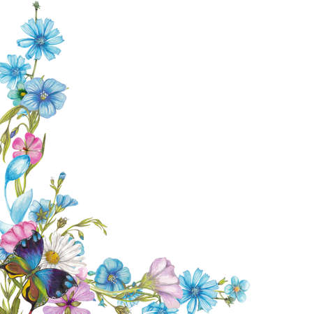 Wildflowers and butterflyの写真素材