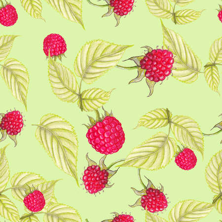 Raspberry patternの写真素材