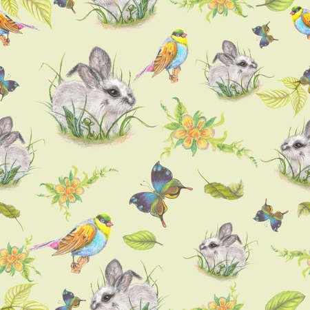 Fluffy bunny patternの写真素材