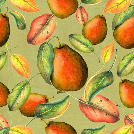 Watercolor pears on green grange backgroundの写真素材