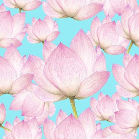 Seamless pattern of lotus flowersの写真素材