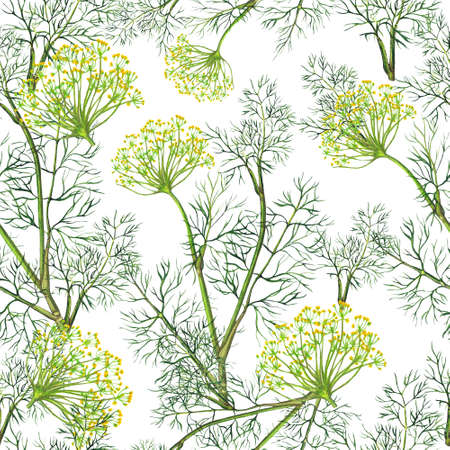 Seamless pattern of watercolor fennel plantの写真素材