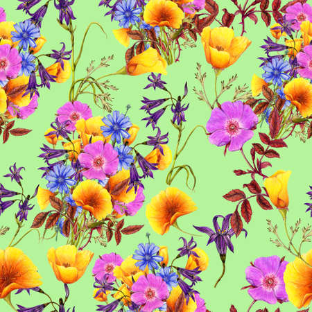 Seamless pattern of hand drawn wildflowersの写真素材