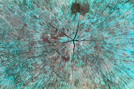 Colored stump textureの写真素材