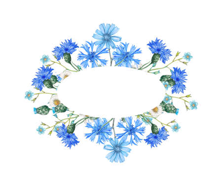 Watercolor botanical frameの写真素材
