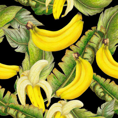 Seamless pattern of hand drawn bananasの写真素材
