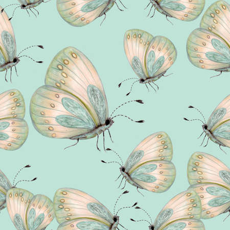 Seamless pattern of hand drawn butterfliesの写真素材