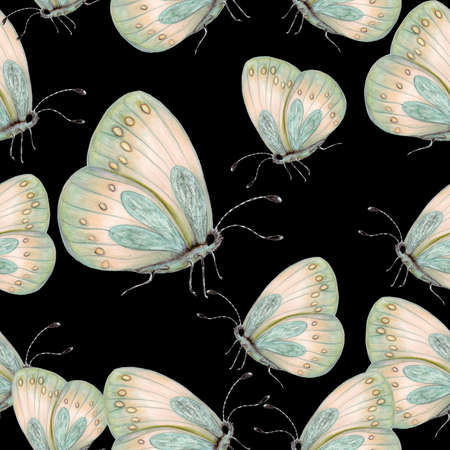 Seamless pattern of hand drawn butterfliesの写真素材